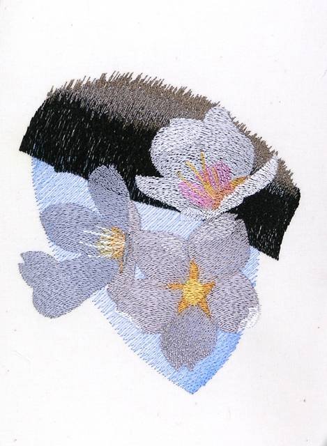 BFC0866 Cherry and Dogwood Blossoms