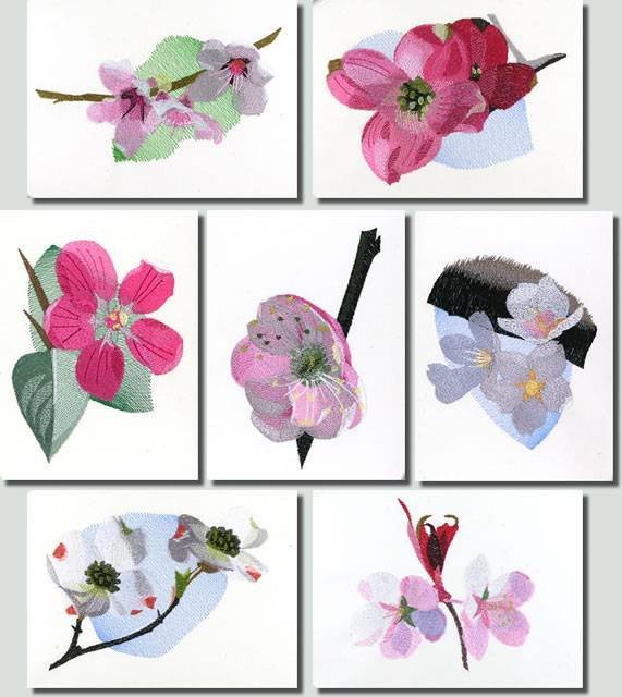 BFC0866 Cherry and Dogwood Blossoms