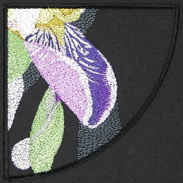 BFC0871 Iris In The Round Times Two