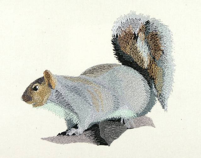 BFC0887 Chipmunks and Squirrels