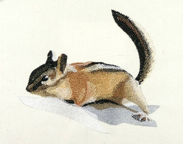 BFC0887 Chipmunks and Squirrels