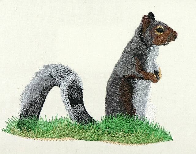 BFC0887 Chipmunks and Squirrels
