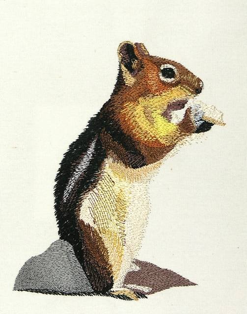 BFC0887 Chipmunks and Squirrels