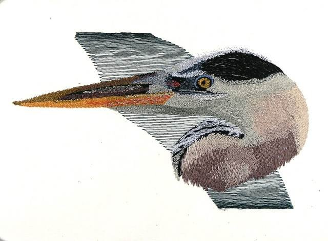 BFC0889 Portraits-Egrets and Herons