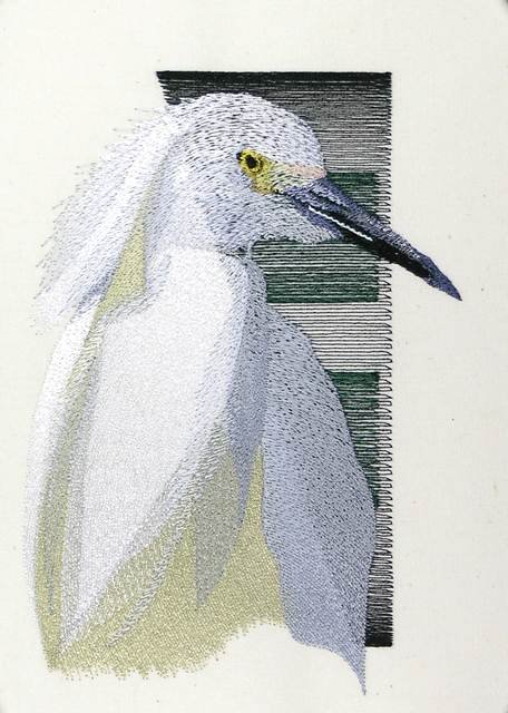 BFC0889 Portraits-Egrets and Herons