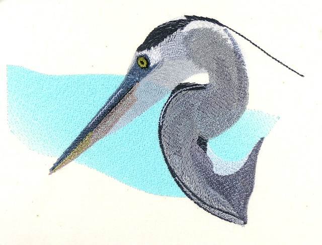 BFC0889 Portraits-Egrets and Herons