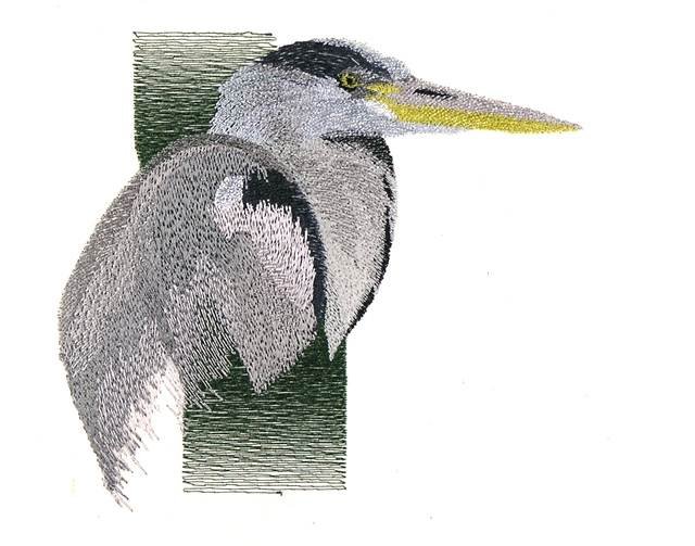 BFC0889 Portraits-Egrets and Herons