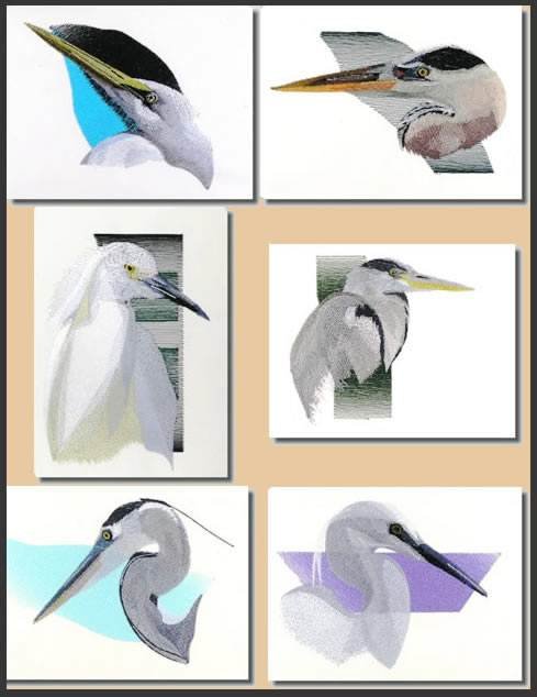 BFC0889 Portraits-Egrets and Herons