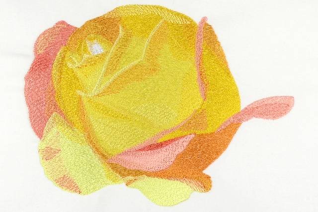 BFC0906 Yellow Roses