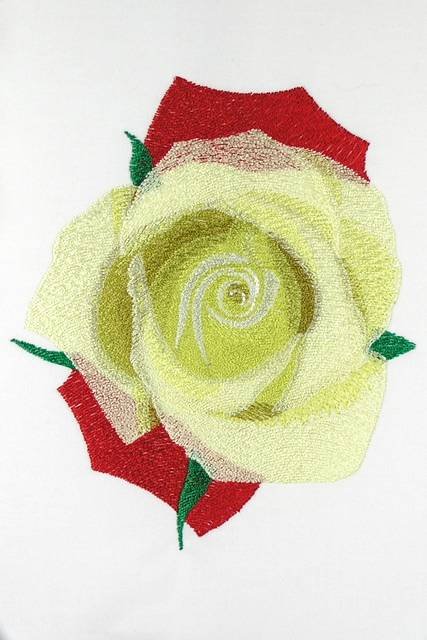 BFC0906 Yellow Roses