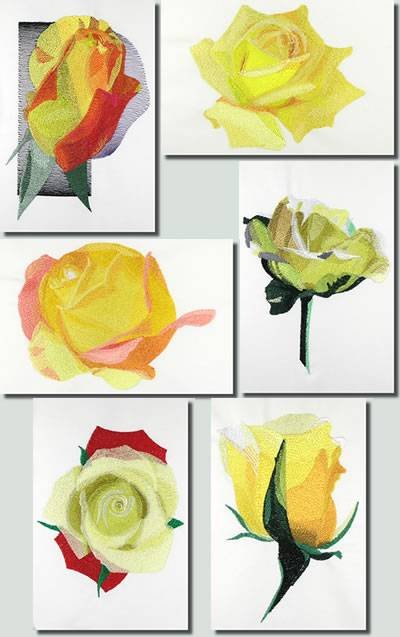 BFC0906 Yellow Roses