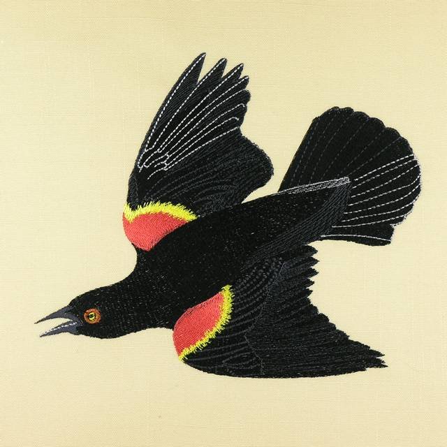 BFC0917 Audubon Birds by the Dozen