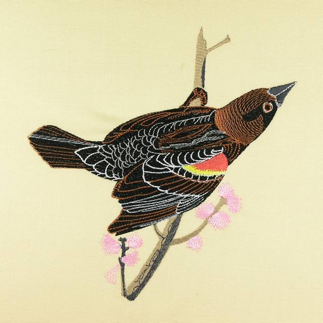 BFC0917 Audubon Birds by the Dozen