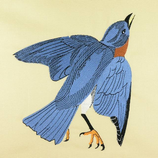 BFC0917 Audubon Birds by the Dozen- 03