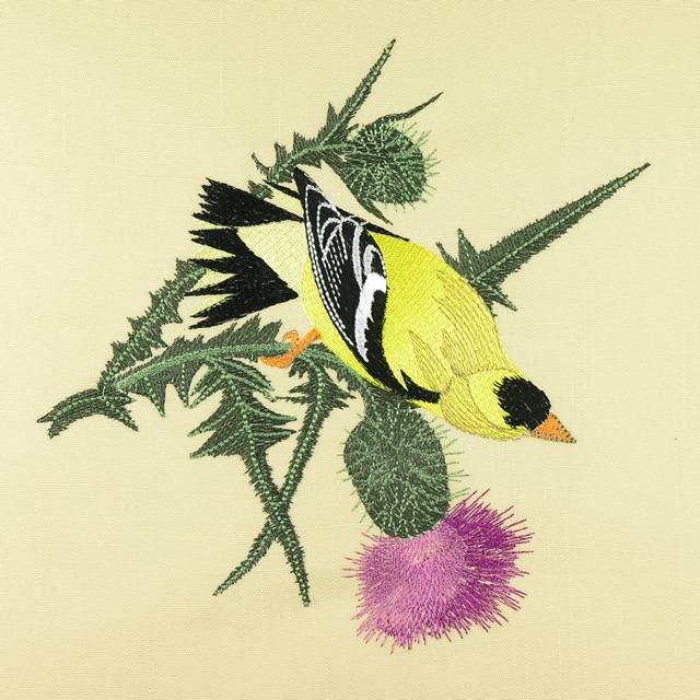 BFC0917 Audubon Birds by the Dozen