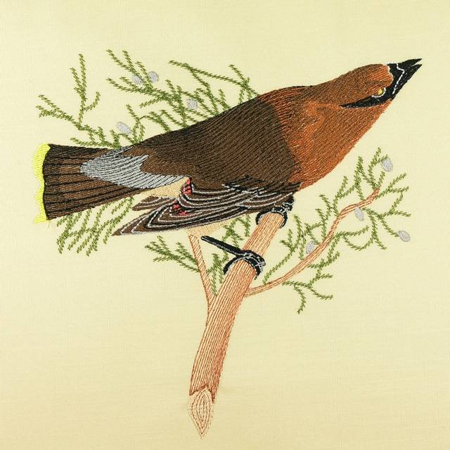 BFC0917 Audubon Birds by the Dozen- 10