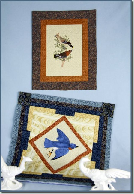 Audubon Birds Combo