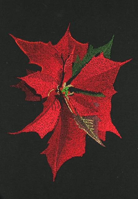 BFC0918 Four Poinsettias