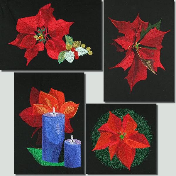 BFC0918 Four Poinsettias