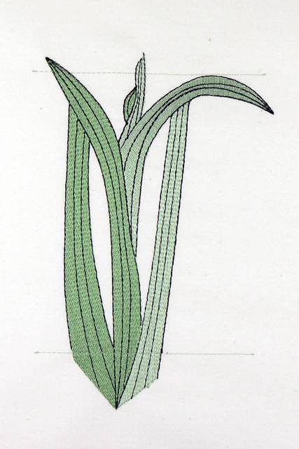 BFC0920 Botanical Print - Iris