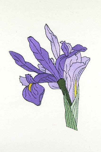 BFC0920 Botanical Print - Iris