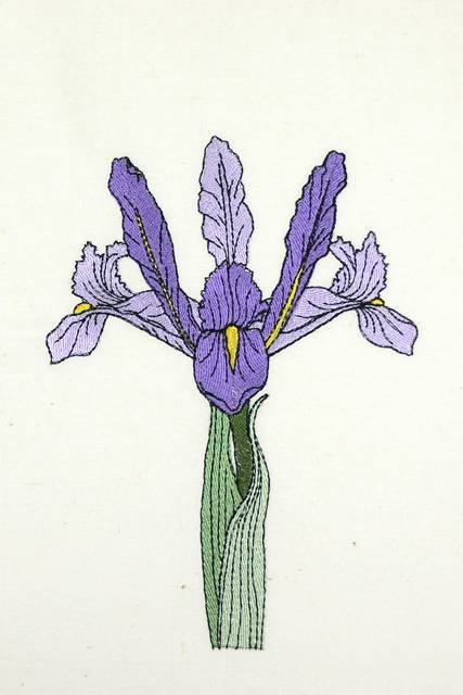 BFC0920 Botanical Print - Iris