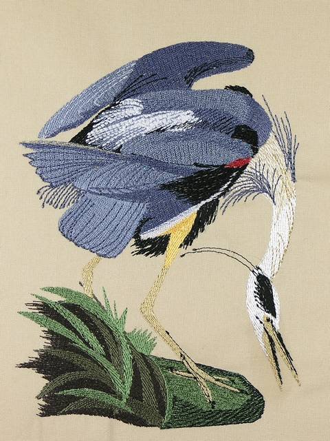 BFC0923 Audubon Water Birds by the Dozen 01