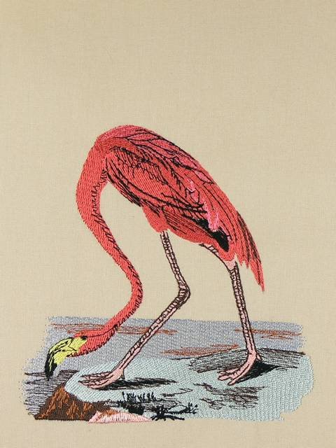 BFC0923 Audubon Water Birds by the Dozen 02