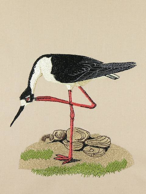 BFC0923 Audubon Water Birds by the Dozen