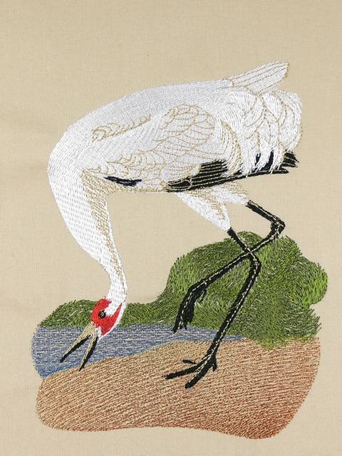 BFC0923 Audubon Water Birds by the Dozen