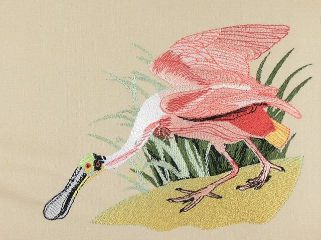 BFC0923 Audubon Water Birds by the Dozen 09