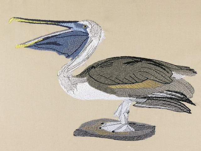 BFC0923 Audubon Water Birds by the Dozen 10