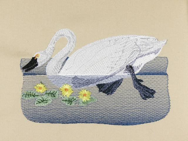 BFC0923 Audubon Water Birds by the Dozen