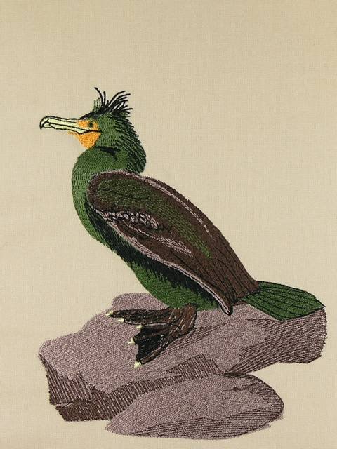 BFC0923 Audubon Water Birds by the Dozen 12