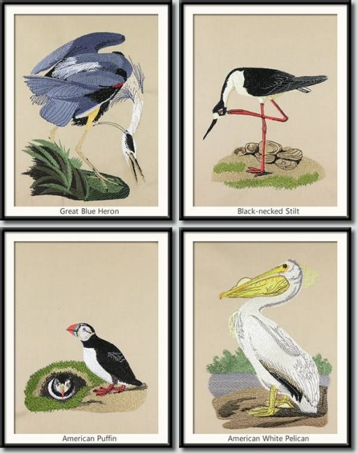 Audubon Birds Combo