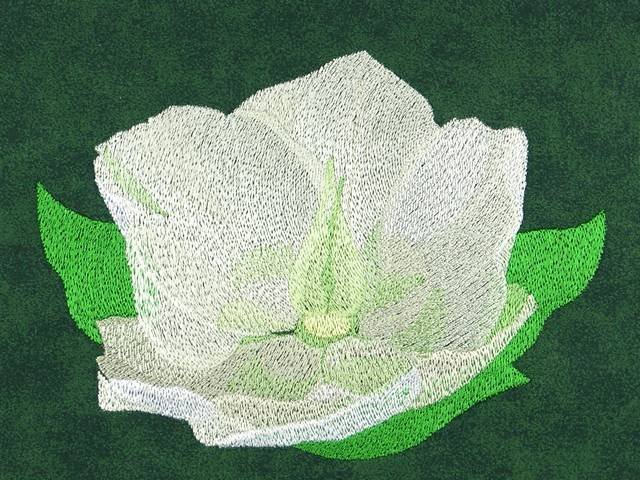 BFC0924 Four Christmas Roses