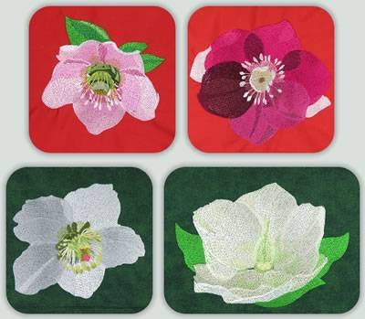 BFC0924 Four Christmas Roses