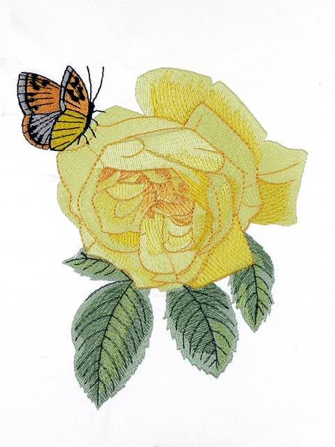 BFC0929 Redoute Roses