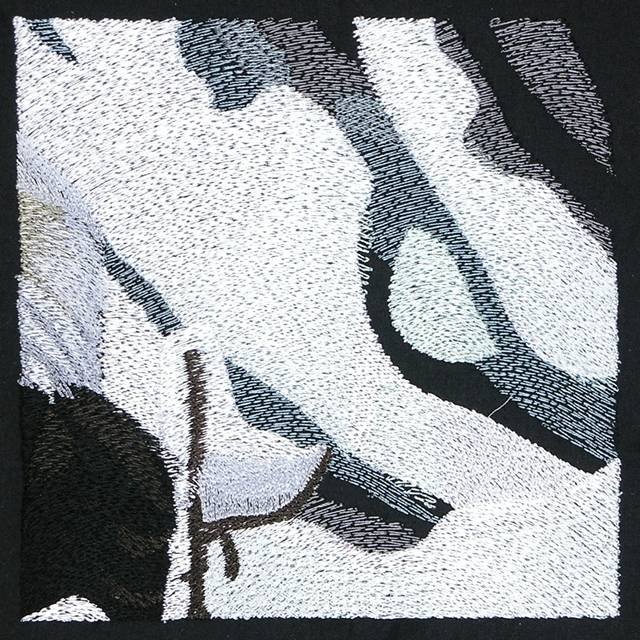 BFC0930 Window-An Eagle in Wintertime