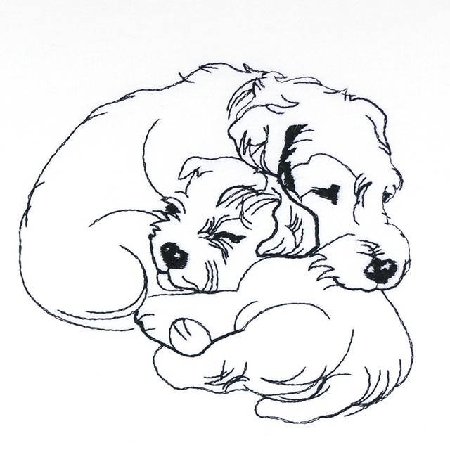 BFC0931 Canine Bling