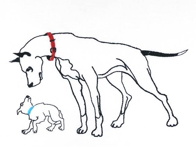 BFC0931 Canine Bling