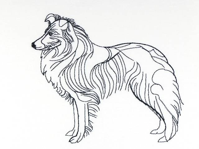 BFC0931 Canine Bling