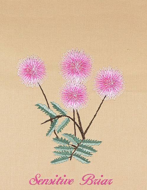 BFC0939 Texas Wildflowers I 02