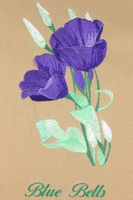 BFC0944 Texas Wildflowers II 01