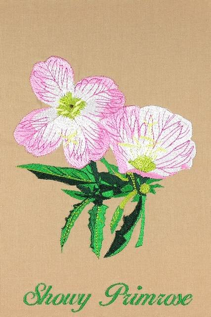 BFC0944 Texas Wildflowers II 02