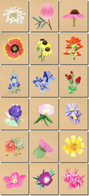 BFC0946 Texas Wildflowers III