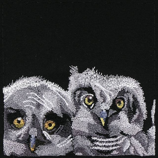 BFC0947 Window-Three Baby Owls