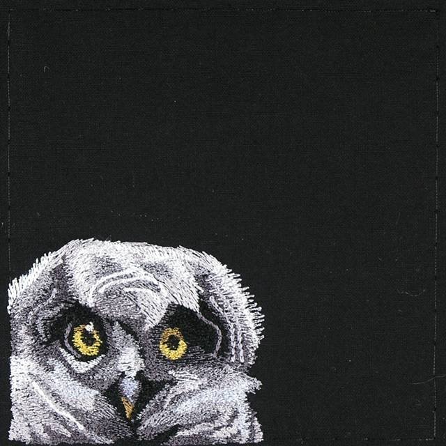 BFC0947 Window-Three Baby Owls