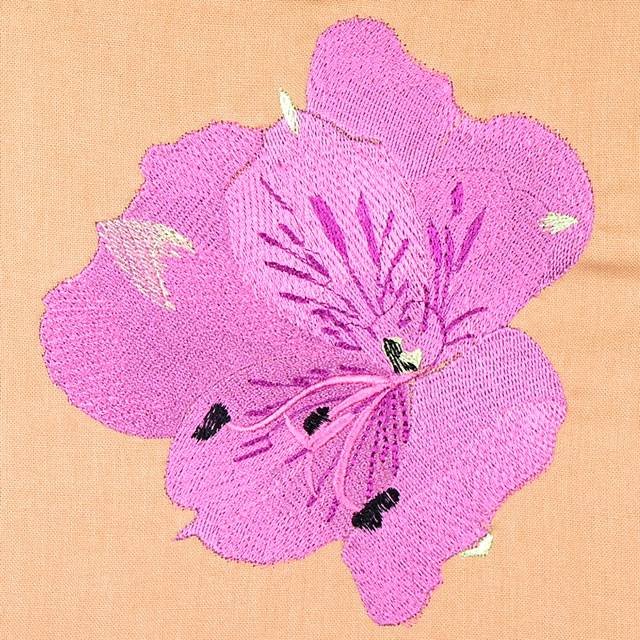 BFC0948 Alstroemeria-Peruvian Lilies