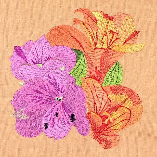 BFC0948 Alstroemeria-Peruvian Lilies
